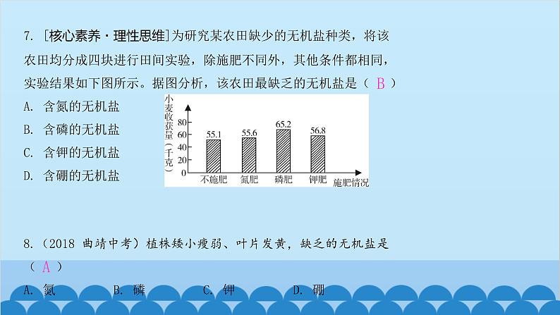 人教版生物七年级上册 3.2.2 植株的生长课件06