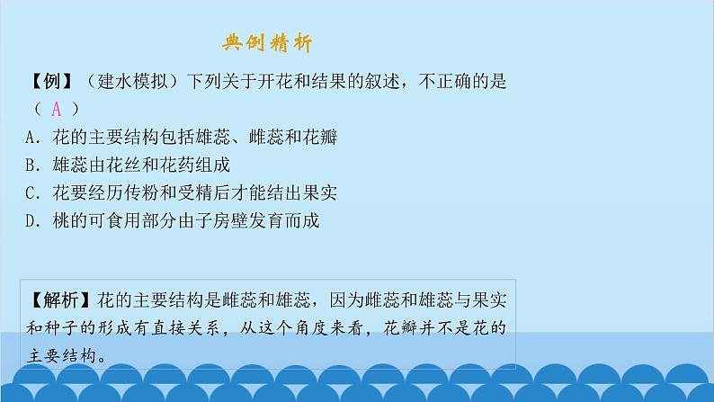 人教版生物七年级上册 3.2.3 开花和结果课件第3页