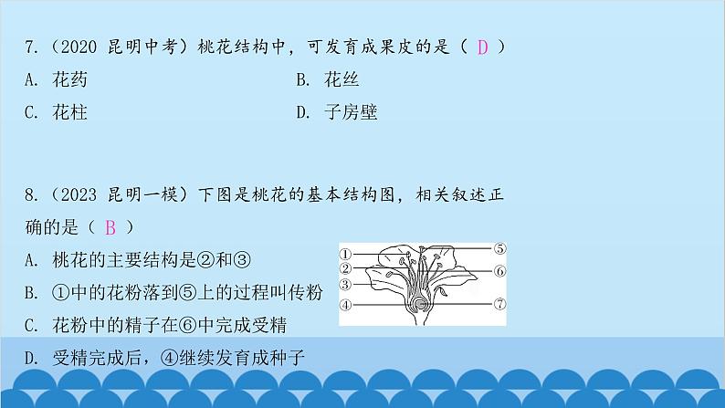 人教版生物七年级上册 3.2.3 开花和结果课件第6页