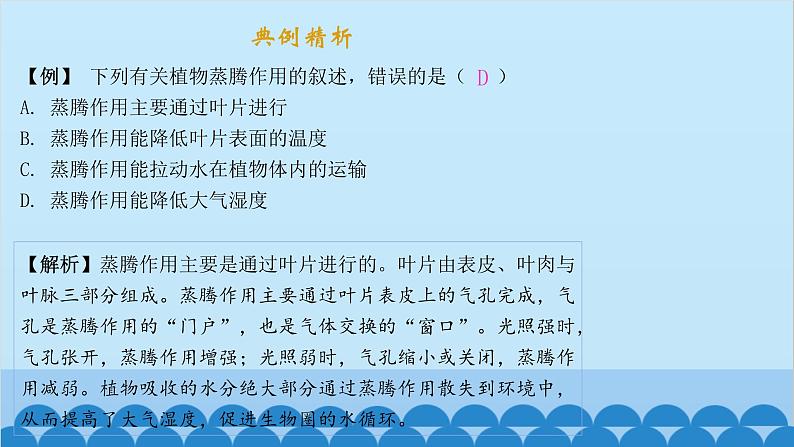 人教版生物七年级上册 3.3 绿色植物与生物圈的水循环课件03