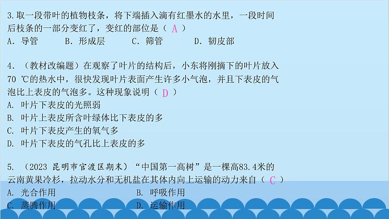 人教版生物七年级上册 3.3 绿色植物与生物圈的水循环课件05