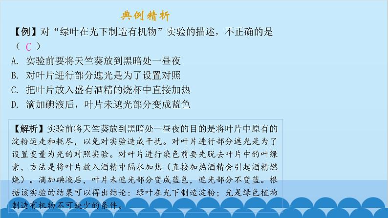 人教版生物七年级上册 3.4 绿色植物是生物圈中有机物的制造者课件03