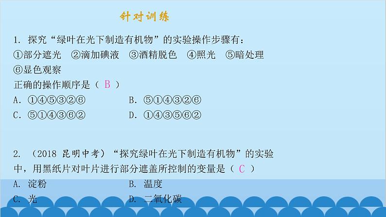 人教版生物七年级上册 3.4 绿色植物是生物圈中有机物的制造者课件04