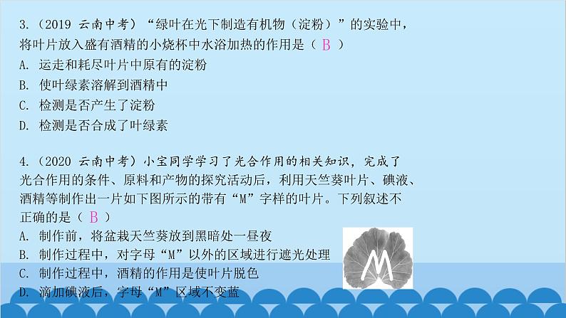 人教版生物七年级上册 3.4 绿色植物是生物圈中有机物的制造者课件05