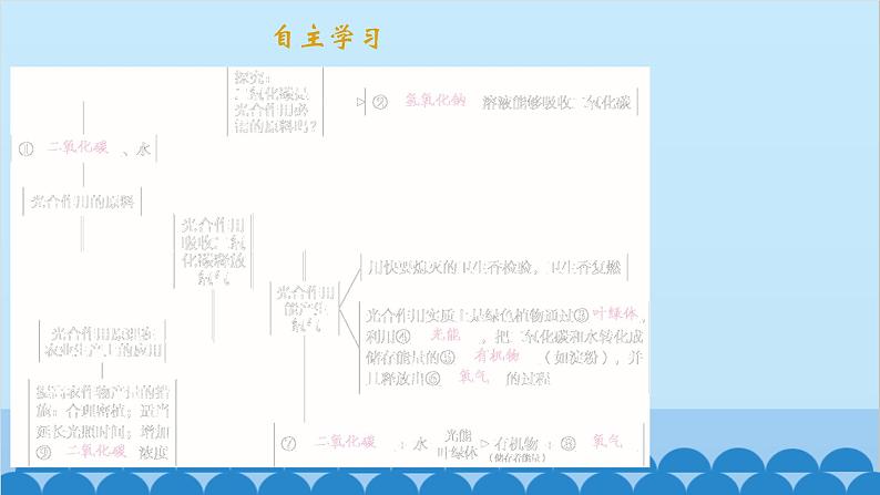 人教版生物七年级上册 3.5.1 光合作用吸收二氧化碳释放氧气课件02