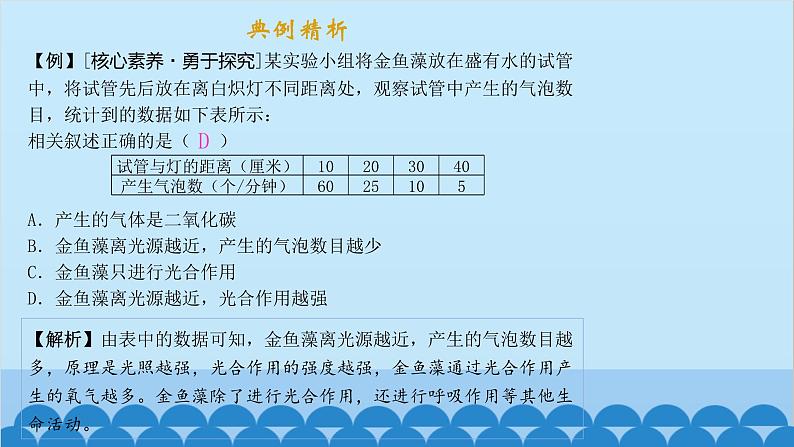 人教版生物七年级上册 3.5.1 光合作用吸收二氧化碳释放氧气课件03