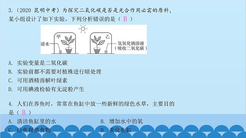 人教版生物七年级上册 3.5.1 光合作用吸收二氧化碳释放氧气课件05