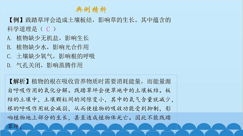 人教版生物七年级上册 3.5.2 绿色植物的呼吸作用课件03