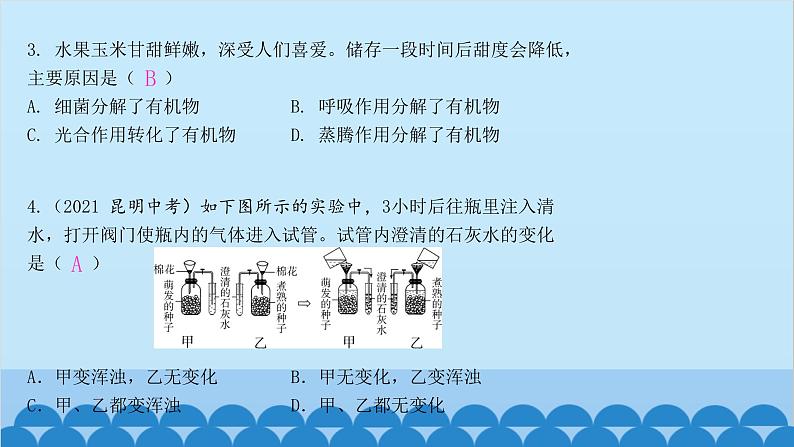 人教版生物七年级上册 3.5.2 绿色植物的呼吸作用课件05