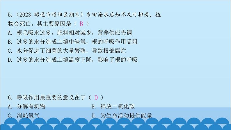 人教版生物七年级上册 3.5.2 绿色植物的呼吸作用课件06