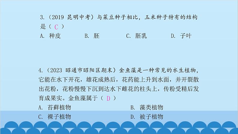 人教版生物七年级上册 第三单元 单元知识集中训练课件第2页