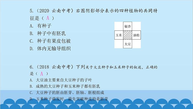 人教版生物七年级上册 第三单元 单元知识集中训练课件第3页