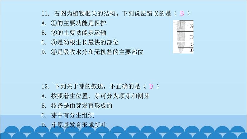 人教版生物七年级上册 第三单元 单元知识集中训练课件第6页