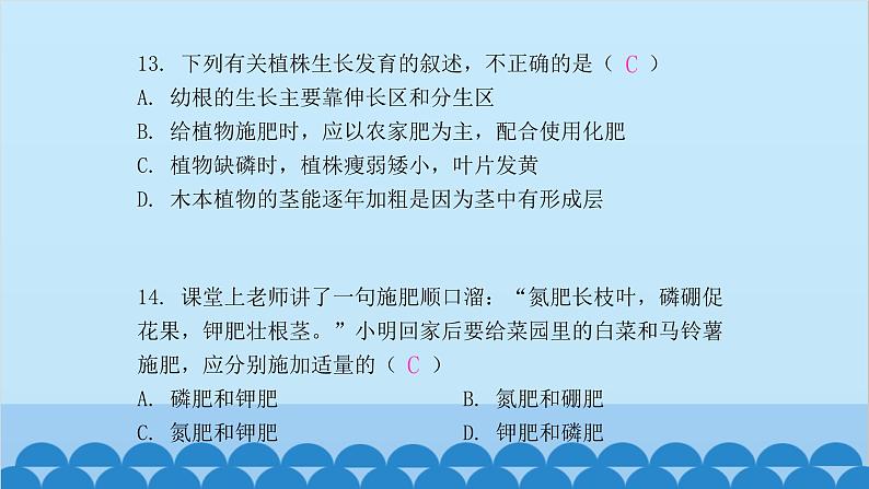 人教版生物七年级上册 第三单元 单元知识集中训练课件第7页