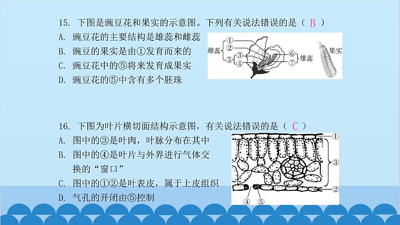 人教版生物七年级上册 第三单元 单元知识集中训练课件第8页