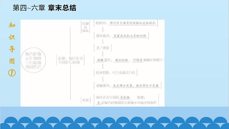 人教版生物七年级上册 第三单元第四~六章 章末总结课件第1页