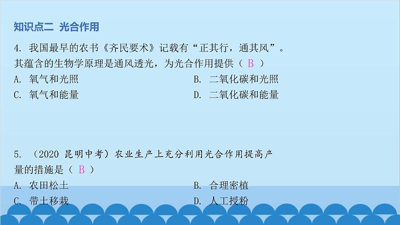 人教版生物七年级上册 第三单元第四~六章 章末总结课件第5页