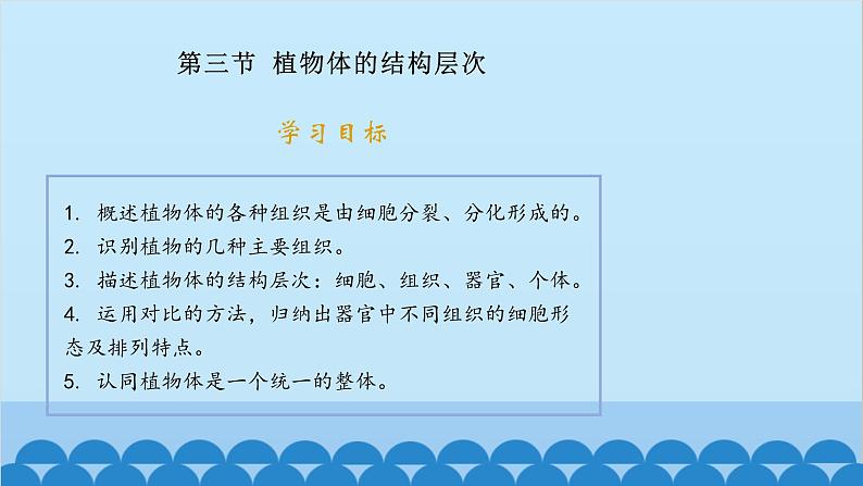 人教版生物七年级上册 2.2.3 植物体细胞的结构层次课件第1页