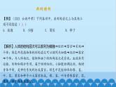 人教版生物七年级上册 2.2.3 植物体细胞的结构层次课件