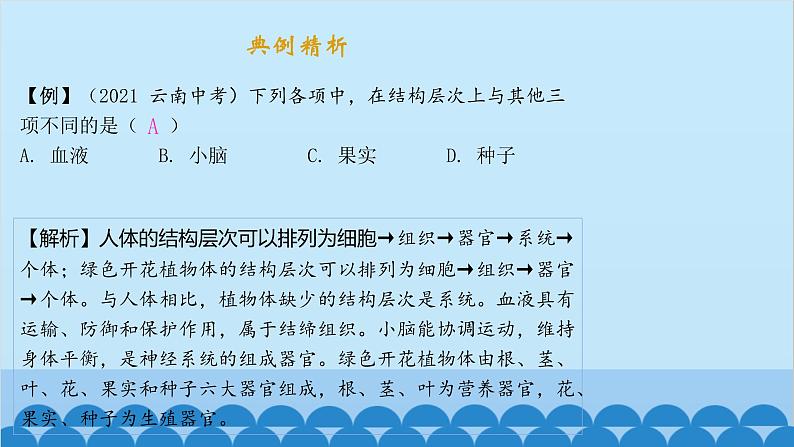 人教版生物七年级上册 2.2.3 植物体细胞的结构层次课件第3页