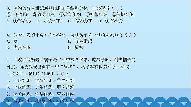 人教版生物七年级上册 2.2.3 植物体细胞的结构层次课件第5页