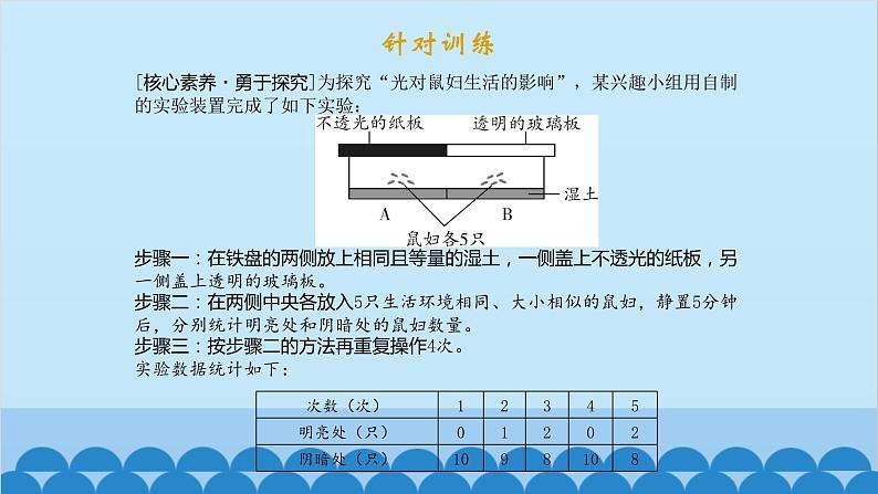 人教版生物七年级上册 实验专题课件04