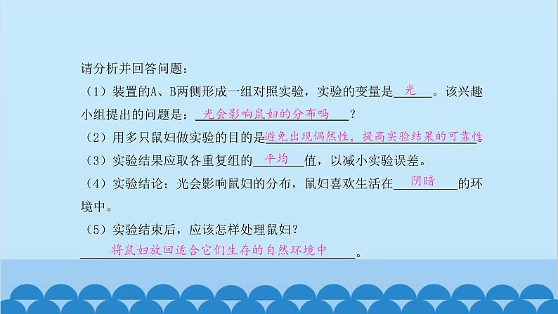 人教版生物七年级上册 实验专题课件05