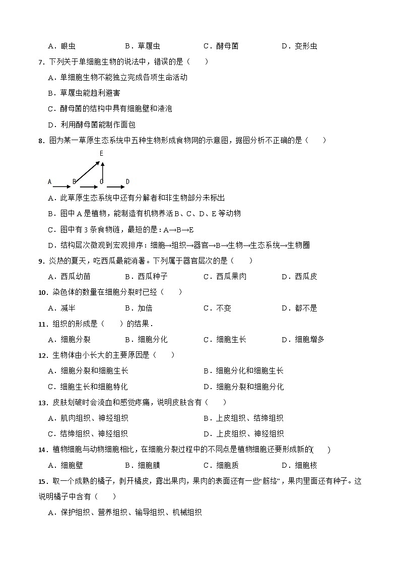 中考生物一轮复习专用训练卷—专题4 细胞怎样构成生物体（ 含解析）第2页