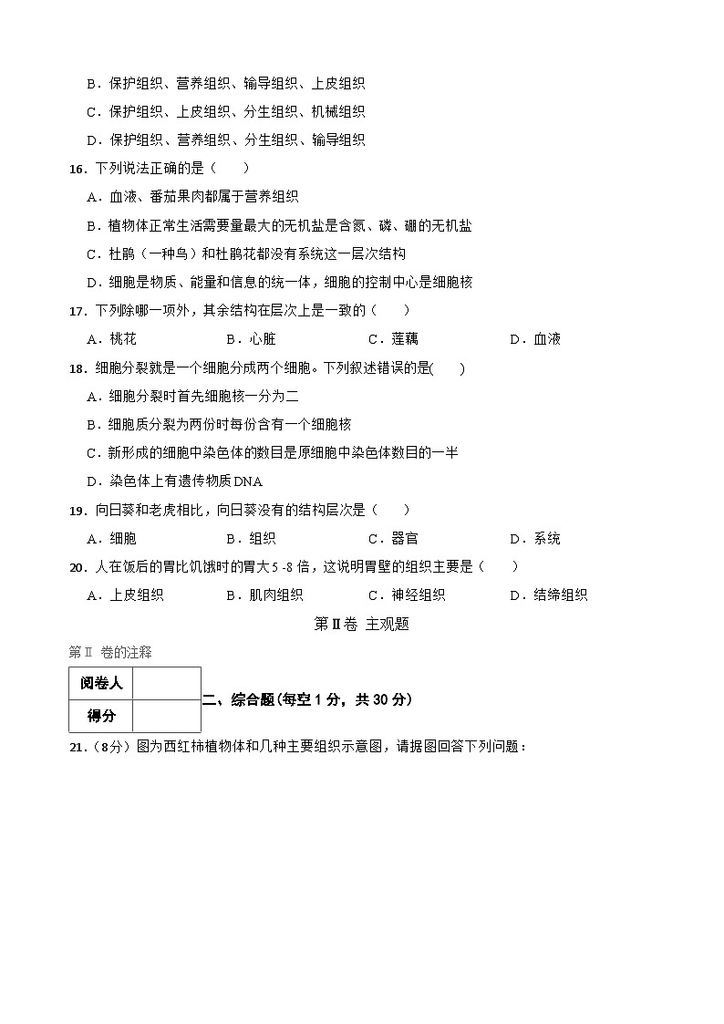 中考生物一轮复习专用训练卷—专题4 细胞怎样构成生物体（ 含解析）第3页