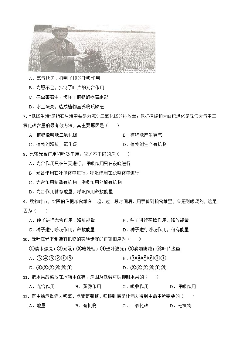 中考生物一轮复习专用训练卷—专题9 绿色植物与生物圈中的碳氧平衡 （含解析）02