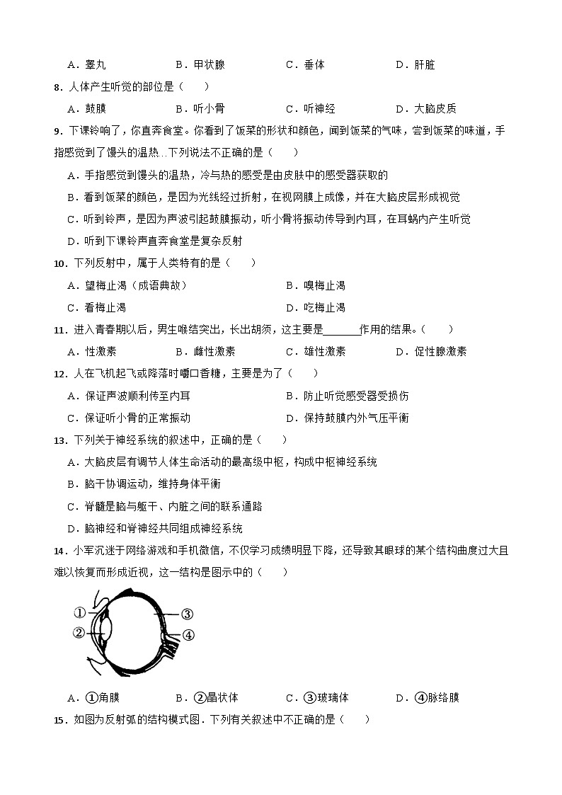 中考生物一轮复习专用训练卷—专题15 人体生命活动的调节（ 含解析）第2页