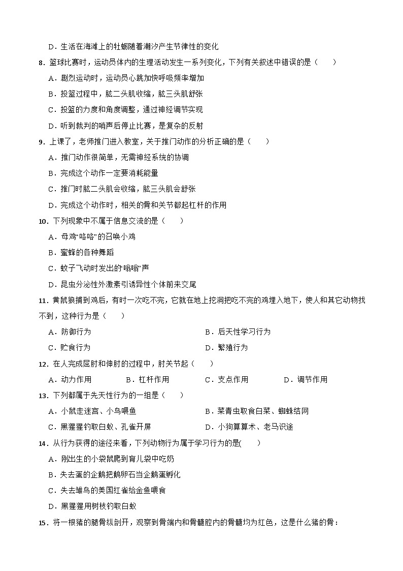 中考生物一轮复习专用训练卷—专题18 动物的运动和行为（ 含解析）02
