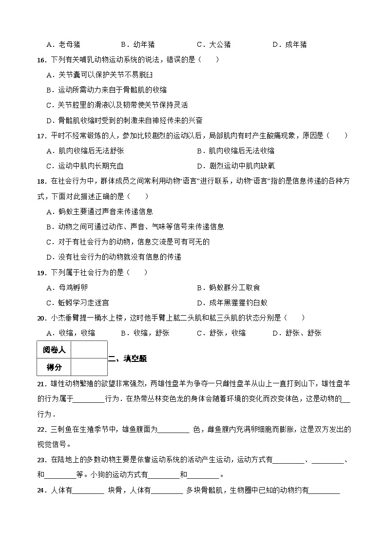 中考生物一轮复习专用训练卷—专题18 动物的运动和行为（ 含解析）03