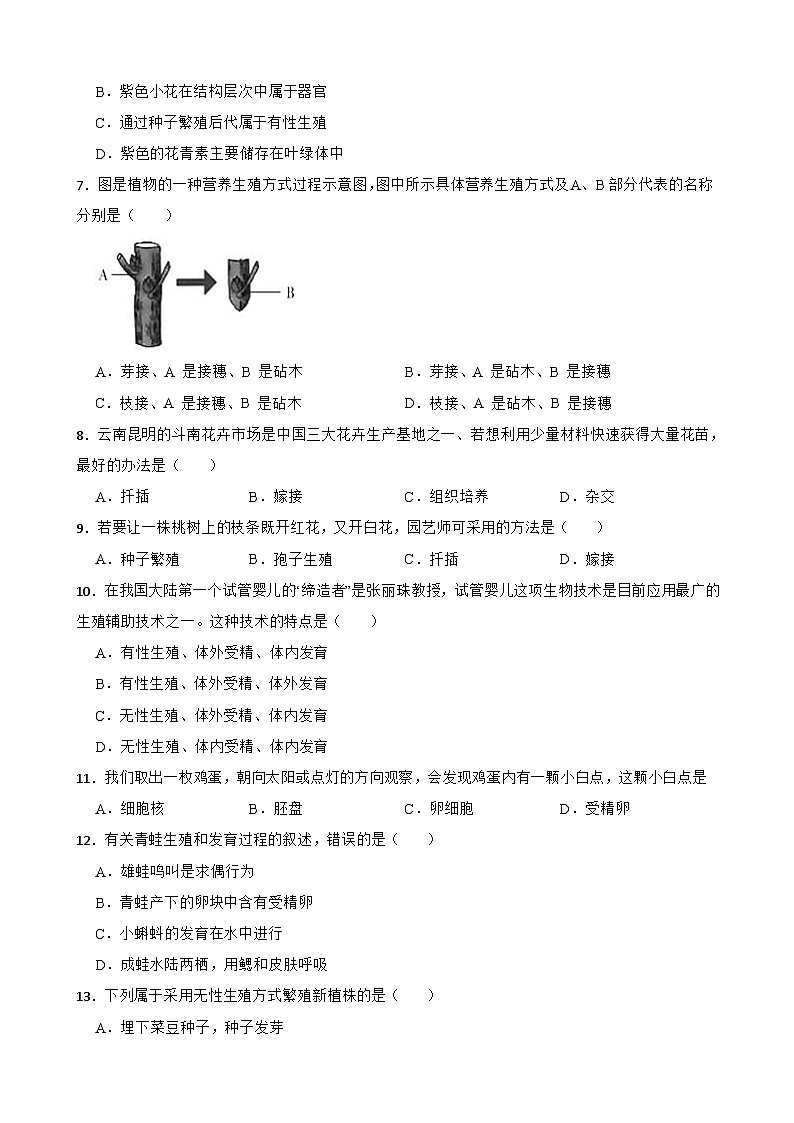中考生物一轮复习专用训练卷—专题21 生物的生殖和发育（含解析）第2页