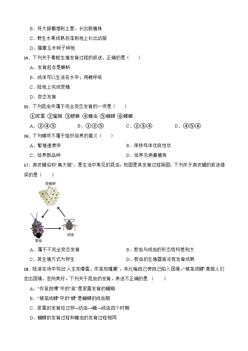 中考生物一轮复习专用训练卷—专题21 生物的生殖和发育（含解析）第3页