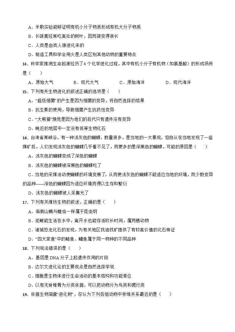 中考生物一轮复习专用训练卷—专题23 生命的起源和进化（含解析）03