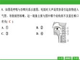 【新课标】北师大版生物七下  第10-11章教学质量监测卷（课件）