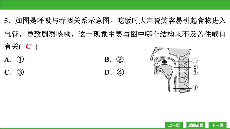 【新课标】北师大版生物七下  第10-11章教学质量监测卷（课件）05