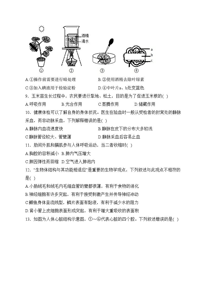 河南省驻马店市遂平县2022-2023学年八年级下学期期中生物试卷(含答案)03