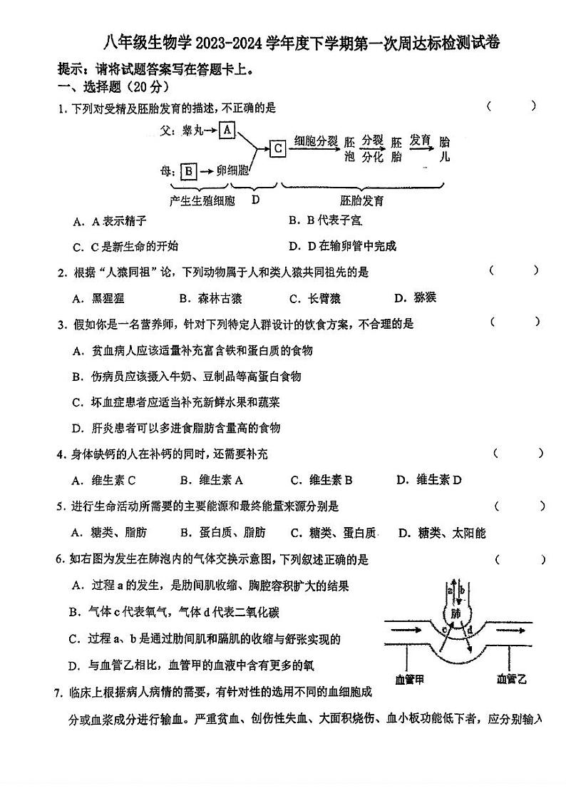 吉林省第二实验学校2023-2024学年八年级下学期第一次周达标检测生物试卷第1页