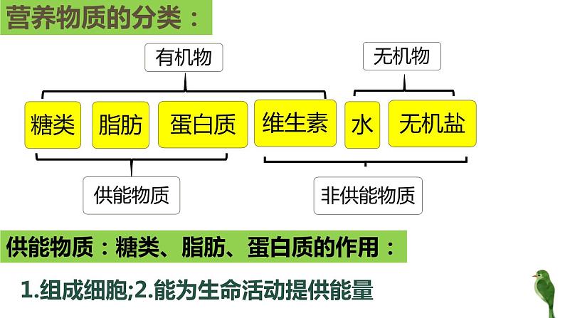 4.2.1食物中的营养物质第1课时课件2023--2024学年人教版生物七年级下册第5页