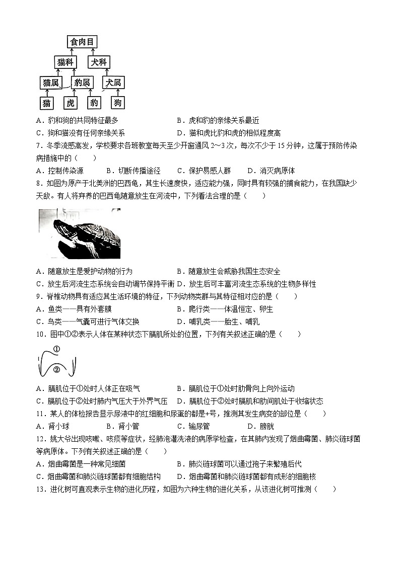 2024年山西省大同市大同一中中考第一次调研生物试卷02