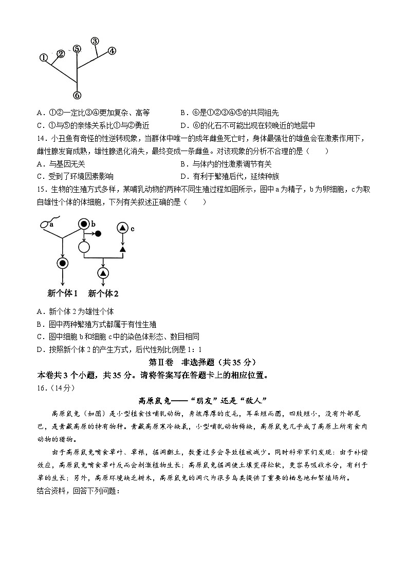 2024年山西省大同市大同一中中考第一次调研生物试卷03