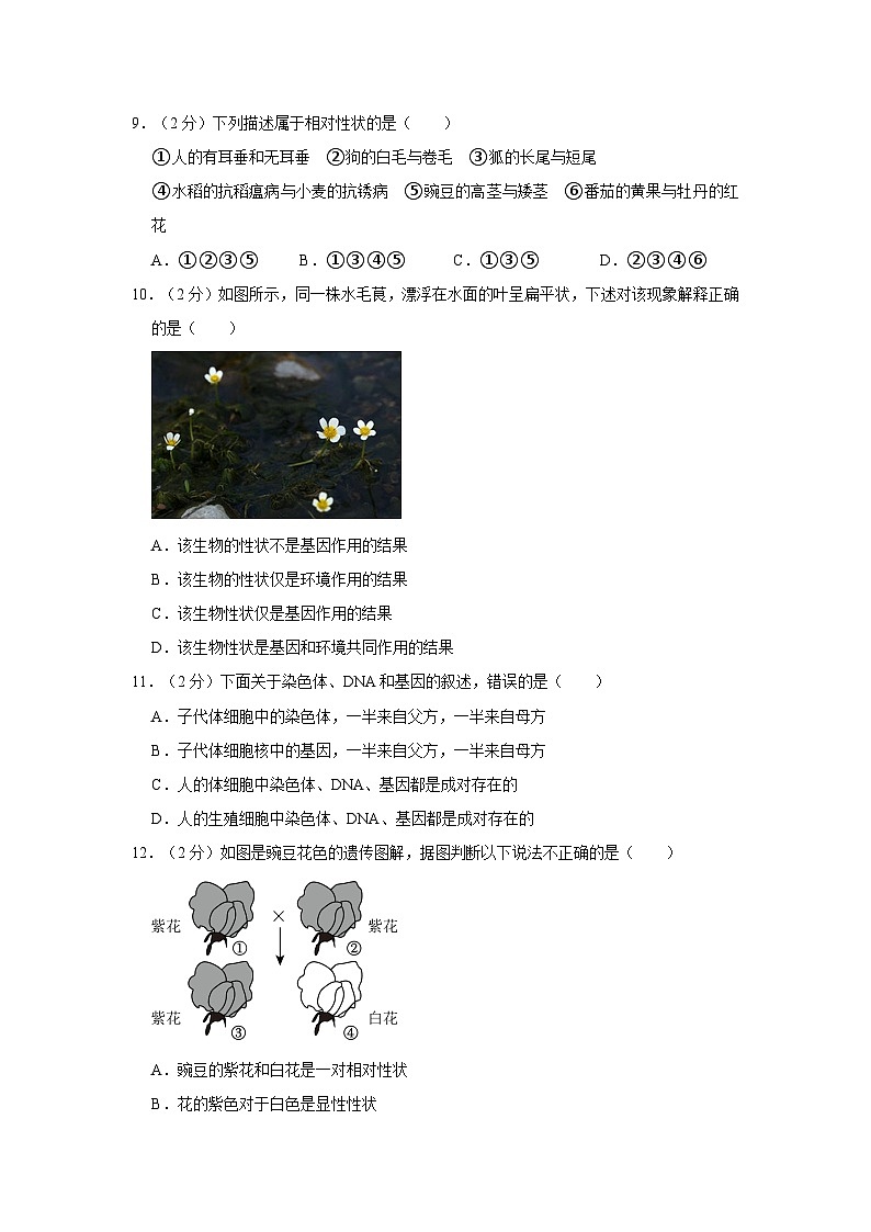 广西南宁市横州市2022-2023学年八年级下学期期中生物试卷第3页