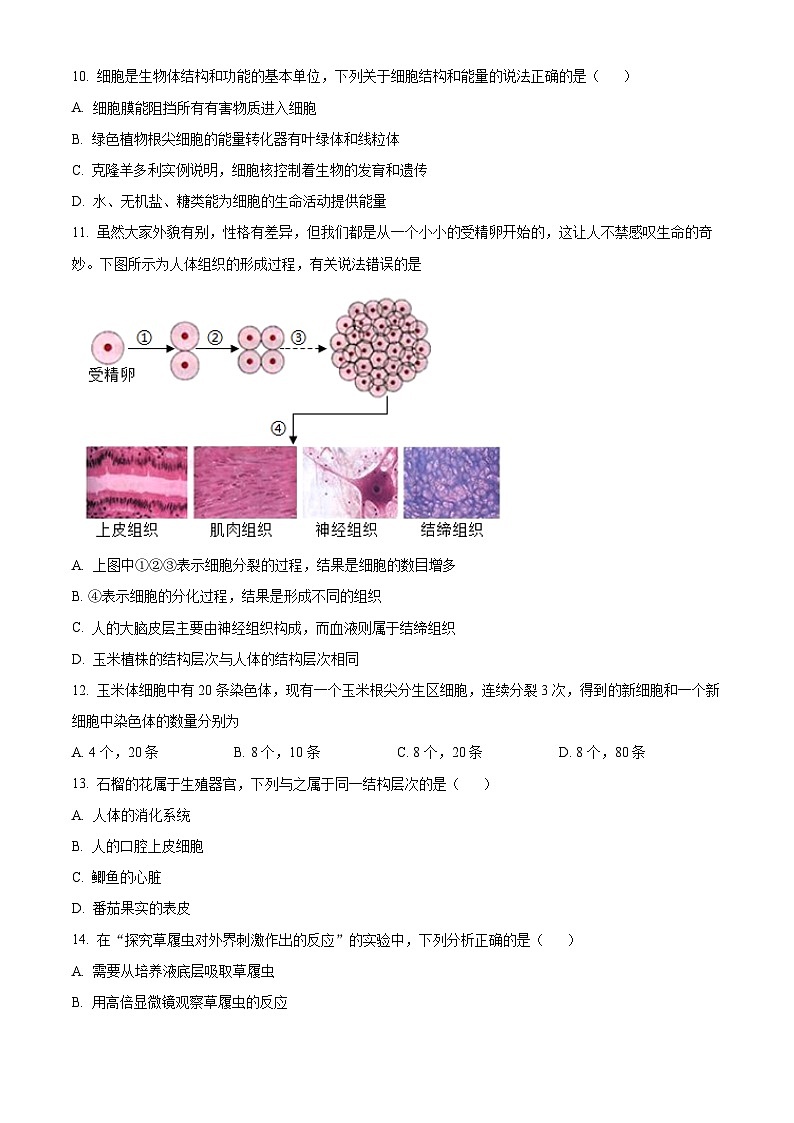 2024年广东省中考一模生物试题（原卷版+解析版）03