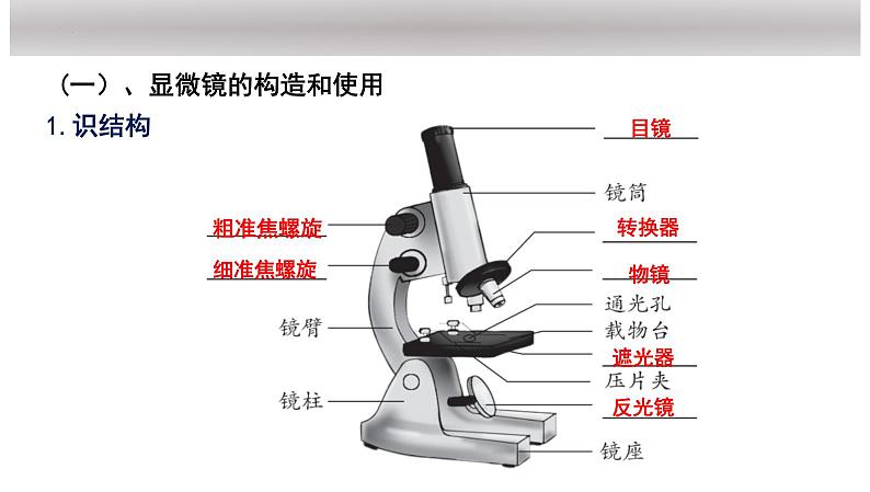 中考生物一轮复习考点通关课件专题03 显微镜的结构、功能和使用（含答案）01