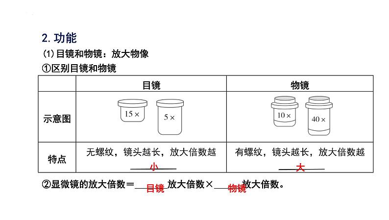 中考生物一轮复习考点通关课件专题03 显微镜的结构、功能和使用（含答案）02