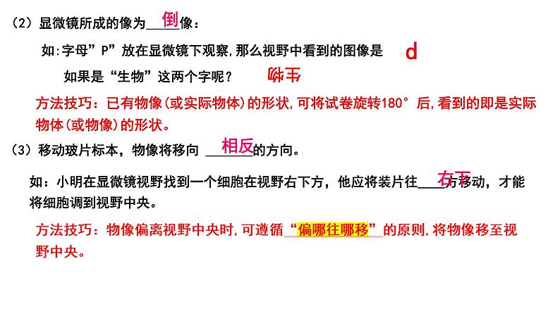 中考生物一轮复习考点通关课件专题03 显微镜的结构、功能和使用（含答案）05