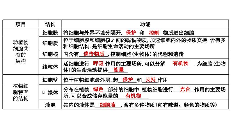 中考生物一轮复习考点通关课件专题04 观察生物的结构（含答案）03