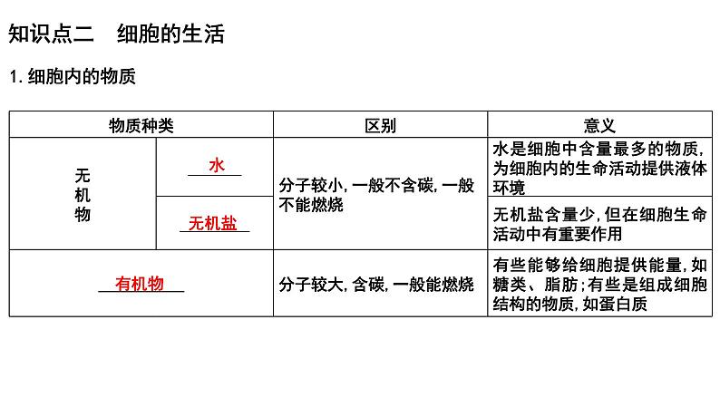 中考生物一轮复习考点通关课件专题04 观察生物的结构（含答案）06